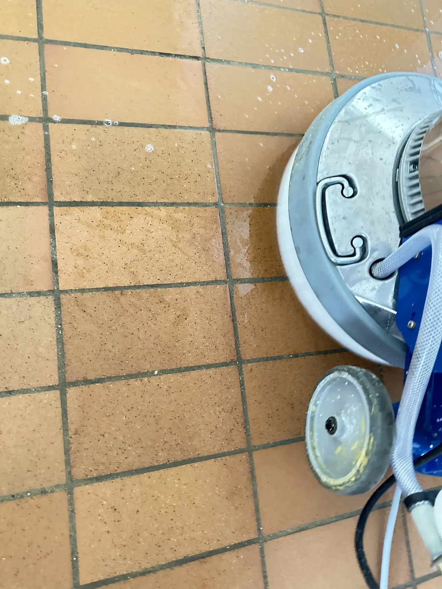 Spezialreinigung Basel – Bild 4
